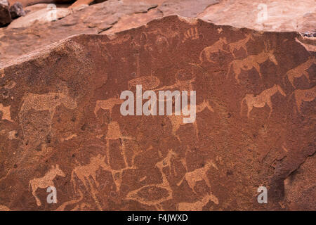 Petroglyph o incisioni rupestri, Twyfelfontein, Sito Patrimonio Mondiale dell'UNESCO, Namibia, Africa Foto Stock