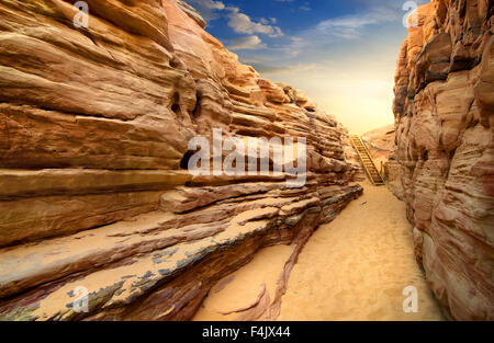 Canyon di sabbia nel deserto del Sinai al tramonto Foto Stock