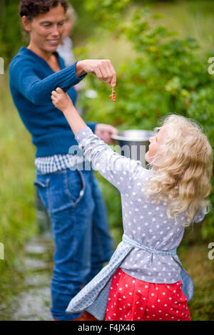 Madre dando ribes rosso a ragazza Foto Stock