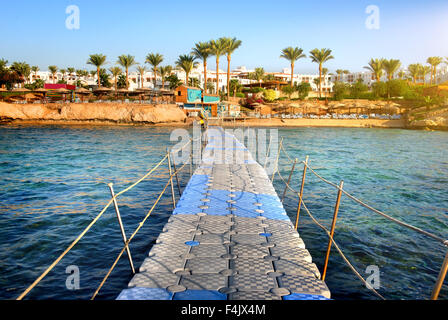 Pontoon attraverso la barriera corallina al mare Foto Stock