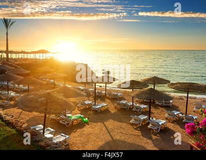 Mar Rosso spiaggia con ombrelloni al tramonto Foto Stock