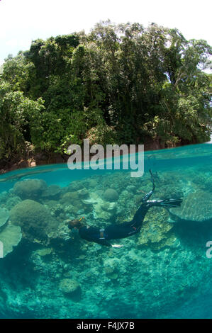 Snorkelling a Restorf Isola Foto Stock