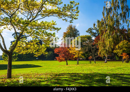 In autunno gli alberi del parco della struttura Bowood Station Wagon nel Wiltshire. Foto Stock