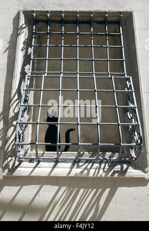 Silhouette di un gatto nero dipinto nella finestra spazio visto attraverso i controlli di sicurezza ferro battuto Firenze Italia Foto Stock