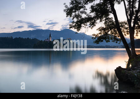 Isola di Bled e del castello all'alba, Slovenia Foto Stock