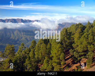 De La Caldera de Taburiente (cratere vulcanico) su La Palma Isole Canarie Foto Stock