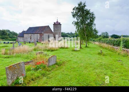 St Andrews Chiesa, poco il russamento, Norfolk, Inghilterra, Regno Unito Foto Stock