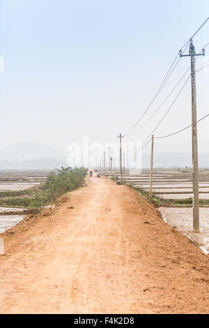 Una strada polverosa corre tra i campi di riso nel nord del Vietnam Foto Stock