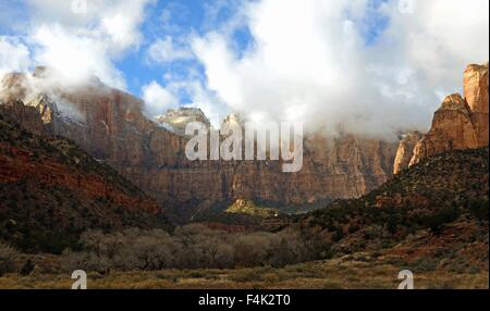 Nebbia di mattina sulle torri della Vergine nel Parco Nazionale di Zion Springdale, Utah. Foto Stock