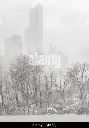 Central Park presso il laghetto di New York City. Grattacieli di Manhattan appaiono in una tempesta di neve in inverno. Foto Stock