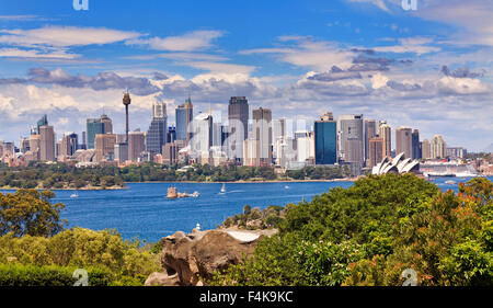 Australian iconico città - Sydney - cityscape vista panoramica di tutta Harbour su una soleggiata giornata estiva Foto Stock