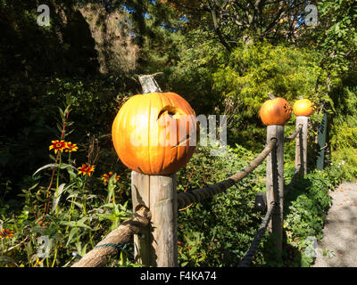 Everett Avventura per bambini Giardino, New York Giardino Botanico, Bronx, NY, STATI UNITI D'AMERICA Foto Stock