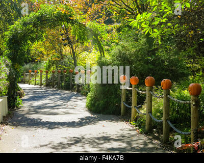 Everett Avventura per bambini Giardino, New York Giardino Botanico, Bronx, NY, STATI UNITI D'AMERICA Foto Stock