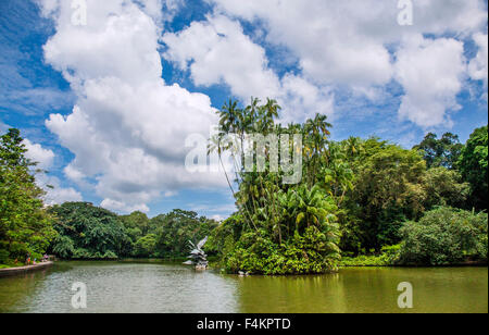 Lago a Singapore Botanic Gardens Foto Stock