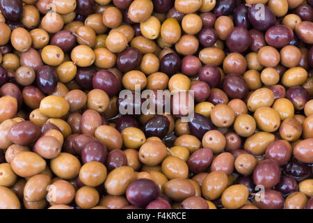 L'Italia, Piemonte, Fiera del Tartufo di Alba: olive. Foto Stock