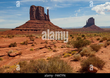 Le muffole, Monument Valley, Arizona, Stati Uniti d'America Foto Stock