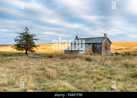 Un vecchio casolare abbandonato sul telecomando brughiera vicino Princetown su Dartmoor in Devon Foto Stock