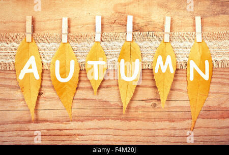 Foglie di autunno su un clothespin. Foto Stock