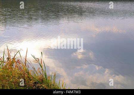 Autunno sfondo acqua con la riflessione di nuvole in acqua ed erba gialla sulla banca. Foto Stock