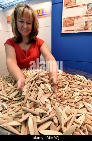 Brno, Repubblica Ceca. Xx oct, 2015. Fiera internazionale Wood-Tec inizia a Brno, in Repubblica ceca, 20 ottobre 2015. © Vaclav Salek/CTK foto/Alamy Live News Foto Stock