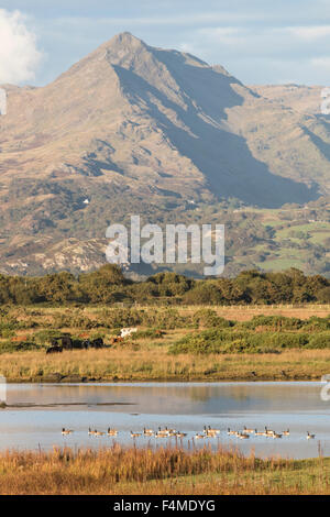 Guardando attraverso l'estuario di marea del Afon Glaslyn verso la montagna Chinict Snowdonia National Park, Wales, Regno Unito Foto Stock