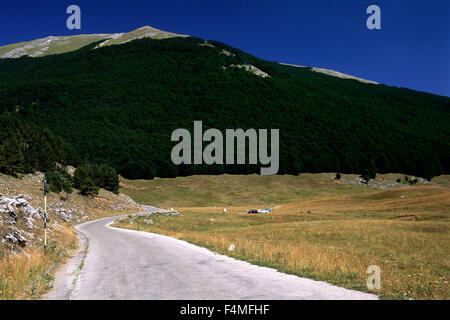 Italia, Basilicata, Parco Nazionale del Pollino, piano Ruggio e Monte Serra del prete Foto Stock