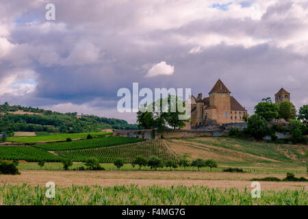 Chateau de Pierreclos è graziosamente adagiata tra la sua vigna. Luglio, 2105. La Borgogna, Francia. Foto Stock