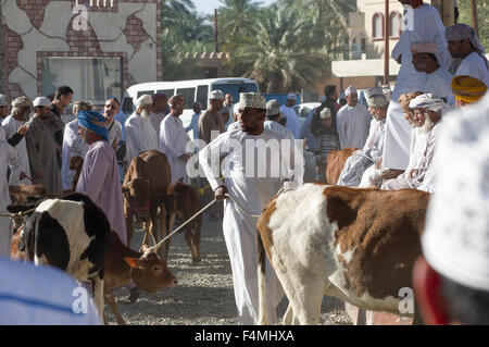 Omani uomo conduce la sua mucca a Nizwa giovedì giorno di mercato. Nizwah è famosa per la sua vivace souq e mercato del bestiame. Foto Stock