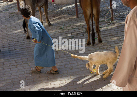 Un ragazzo Omani lotte per tirare una piccola capra su una fune a Nizwa mercato in Oman, famoso per la vivace souq e marchio di bestiame Foto Stock