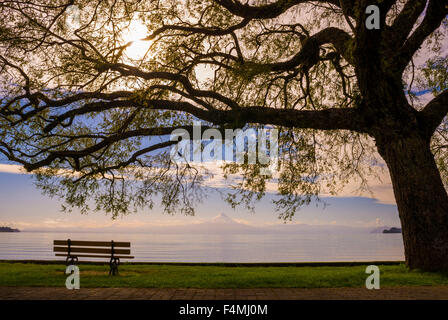 Frutillar e del vulcano di Osorno, la regione dei laghi, Cile Foto Stock