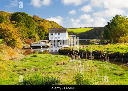 Il pittoresco villaggio di Gweek situato in corrispondenza della testa del Fiume Helford Cornwall Inghilterra UK Europa Foto Stock
