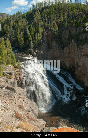 Gibbon Falls, Yellowstone NP, Wyoming USA Foto Stock