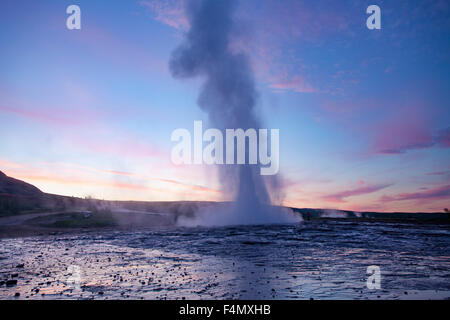 Strokkur geyser errupting al tramonto, Geysir, Sudhurland, Islanda. Foto Stock