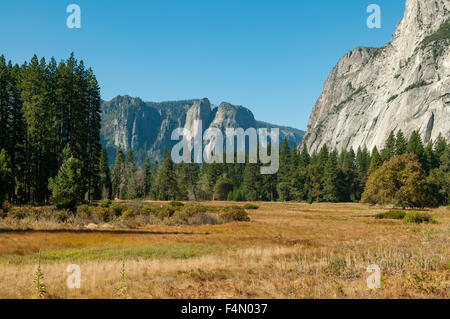 Prato in Yosemite Valley, Yosemite NP, CALIFORNIA, STATI UNITI D'AMERICA Foto Stock