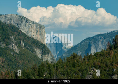 El Capitan e Half Dome, Yosemite NP, CALIFORNIA, STATI UNITI D'AMERICA Foto Stock