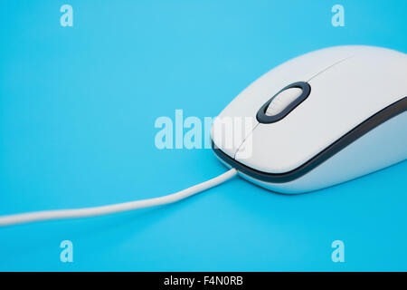 Mouse bianco su sfondo blu Foto Stock