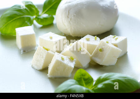 Uovo, il mondo della cultura, pane e frumento, cibo umano,concetto di Dieta, tofu Foto Stock