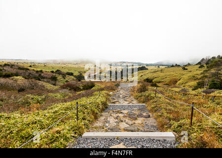 Sentiero escursionistico in Jeju Island Foto Stock