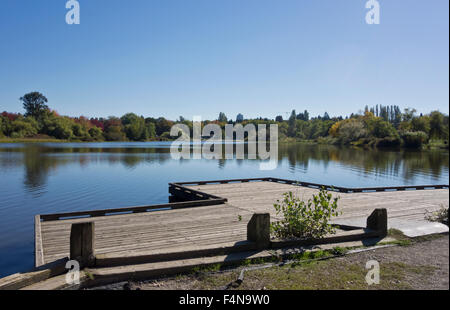 Docks e boardwalk a Trout Lake Park in East Vancouver, su una soleggiata giornata autunnale. Foto Stock