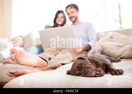 Olde English Bulldogge dormire sul divano mentre matura e figlio rilassante in background Foto Stock