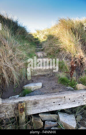 Gradini in legno nelle dune di sabbia. Northumberland. Regno Unito Foto Stock