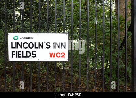 Lincoln' s Inn campi, Londra, Inghilterra. Foto Stock