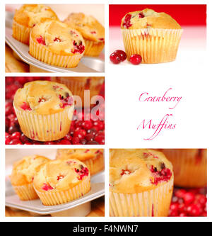 Il collage che mostra una varietà di immagini di deliziosi muffin ai mirtilli Foto Stock