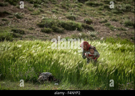 La madre e il bambino sono impegnati nel campo dell'orzo Foto Stock