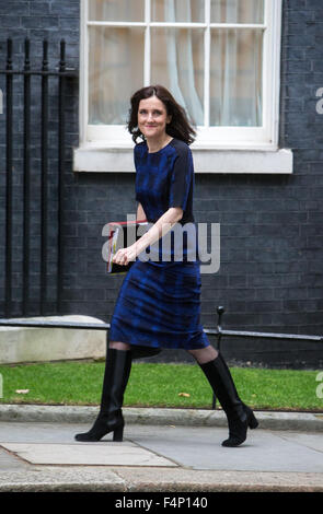 Theresa Villiers,il segretario di Stato per l'Irlanda del Nord,arriva al numero 10 di Downing Street per una riunione del gabinetto Foto Stock