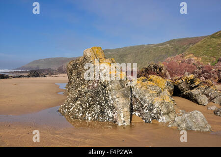 Geologia a Freshwater West Beach in Pembrokeshire, Galles. Foto Stock