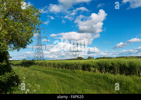 Pilone portante i cavi di energia elettrica sulla campagna in Cotswolds, Gloucestershire, Regno Unito Foto Stock