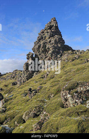 Pinnacle di lava sul Berserkjahraun Lave campo penisola Snaefellsnes in Islanda Foto Stock