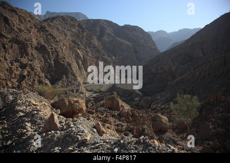 Scenario In Jebel Harim area, nella nonna nicchie enclave di Musandam, Oman Foto Stock