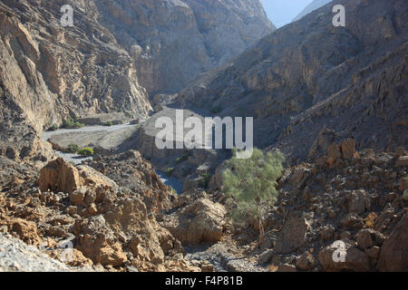 Scenario In Jebel Harim area, nella nonna nicchie enclave di Musandam, Oman Foto Stock